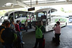 Lee más sobre el artículo Fomento quiere autobuses con wifi en las grandes líneas